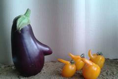 Křivák roku - zelenina a ovoce