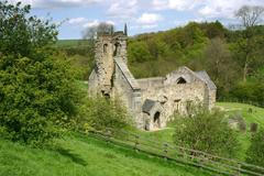 Wharram Percy, archeologické místo v Anglii