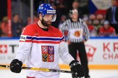 MS 2017, Česko-Bělorusko: Radko Gudas