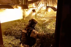 Policisté odhalili EKO pěstírnu