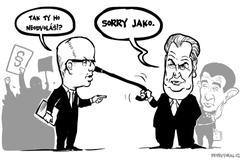 Sobotka Zeman Babiš vláda kresba