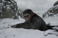 Válka o planetu opic