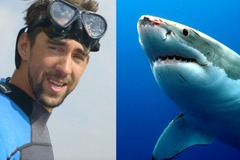 Phelps se vydal mezi žraloky. Pak si v oceánu s jedním z nich zazávodil