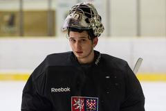 Kemp juniorů před MS 2015, Daniel Vladař