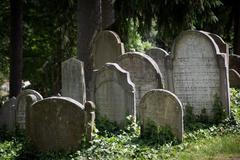 Židovský hřbitov v Třebíči