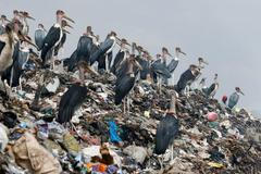 Keňa - problémy s plastikovým odpadem