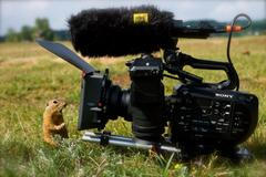 Marin Polák - Planeta Česko