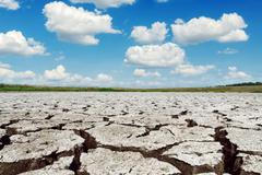 Místo jara rovnou léto. Děsí mě, že se naplňují naše modely, období sucha budou delší, říká šéf ČHMÚ