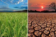 Globální katastrofa, globální oteplování, zkáza