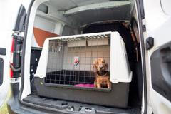 Psí autobus Pet Center