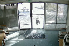 Vchod obchodu rozbil neobvyklý vandal. Dovnitř se pokoušel dostat kozel