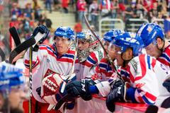 Česko - Slovensko, přípravný zápas v Třinci