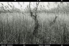 Zdeněk Stolbenko - fotografie