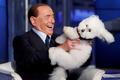Silvio Berlusconi