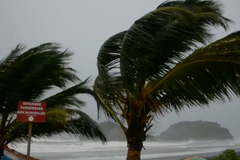Silný vichr, zlámané stromy a vysoké vlny. Hurikán Maria udeřil na Martinik