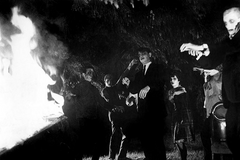 Noc oživlých mrtvol