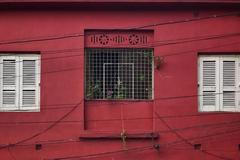 Velmi úspěšný The cow mask projekt