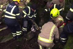 Tele zapadlo metr a půl do země. Tým hasičů ho z kamenů doloval dvě hodiny