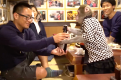 Japonská restaurace má velmi neobvyklou obsluhu. Pití nosí opice