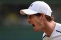 Andy Murray ve 3. kole Wimbledonu 2017 proti Fogninimu