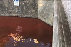 Červeně zbarvená Vltava u Mánesa v Praze