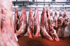 Hyperkmarket Globus - příprava masa, řeznictví, řezník Pavel Holeček