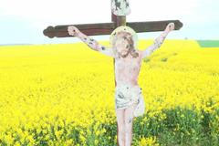 Dokument Selský rozum