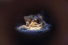 Tajuplná a veleúspěšná. František Skála vás naposledy provede svou úchvatnou výstavou