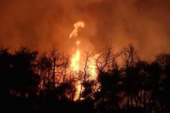 Mohutný požár sužuje Řecko. Hoří 30 kilometrů od centra Atén