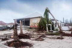 Vítr rval stromy i s kořeny, ostrov spálila slaná voda, líčí Češka řádění hurikánu Irma v Karibiku