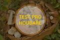 Poutací obrázek grafiky - Test na houby