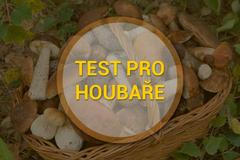 Poutací obrázek grafiky - Test na houby