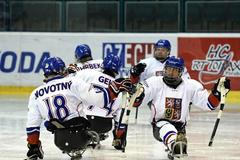 Česká sledge hokejová reprezentace