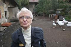 Statek Mašínů v Lošanech