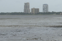 Větry hurikánu Irma vysušily záliv u Tampy.