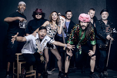 Gogol Bordello