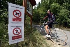 cedule "africký mor prasat zákaz vstupu se psy", cyklista, kolo