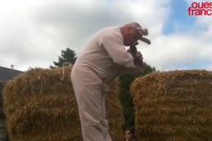 šampion v prasečím chrochtání