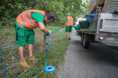 Stavba elektrických ohradníků ve Zlínském kraji kvůli africkému moru divokých prasat.