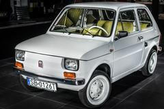 Maluch pro Toma Hankse