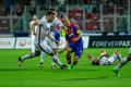 3. předkolo Ligy mistrů: FC Viktoria Plzeň - FCSB