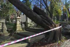 Na Olšanské hřbitovy je částečně omezený vstup. Následky bouře se odstraňují