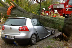 Podívejte se na následky extrémně silné bouře Herwart v Německu
