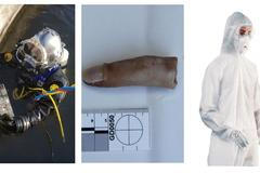 Kuriozní případy 2017 - koláž