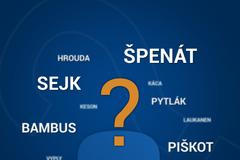 Kvíz - přezdívky - poutací obrázek