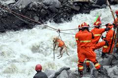 The best of the year 2017, Katastrofy