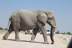 Jak se jezdí v Namibii