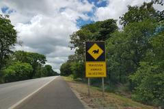 Jak se jezdí v Brazílii