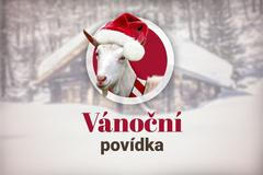 Vánoční povídka ilustrace koza