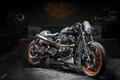 Finalisté Harley-Davidson Battle of Kings